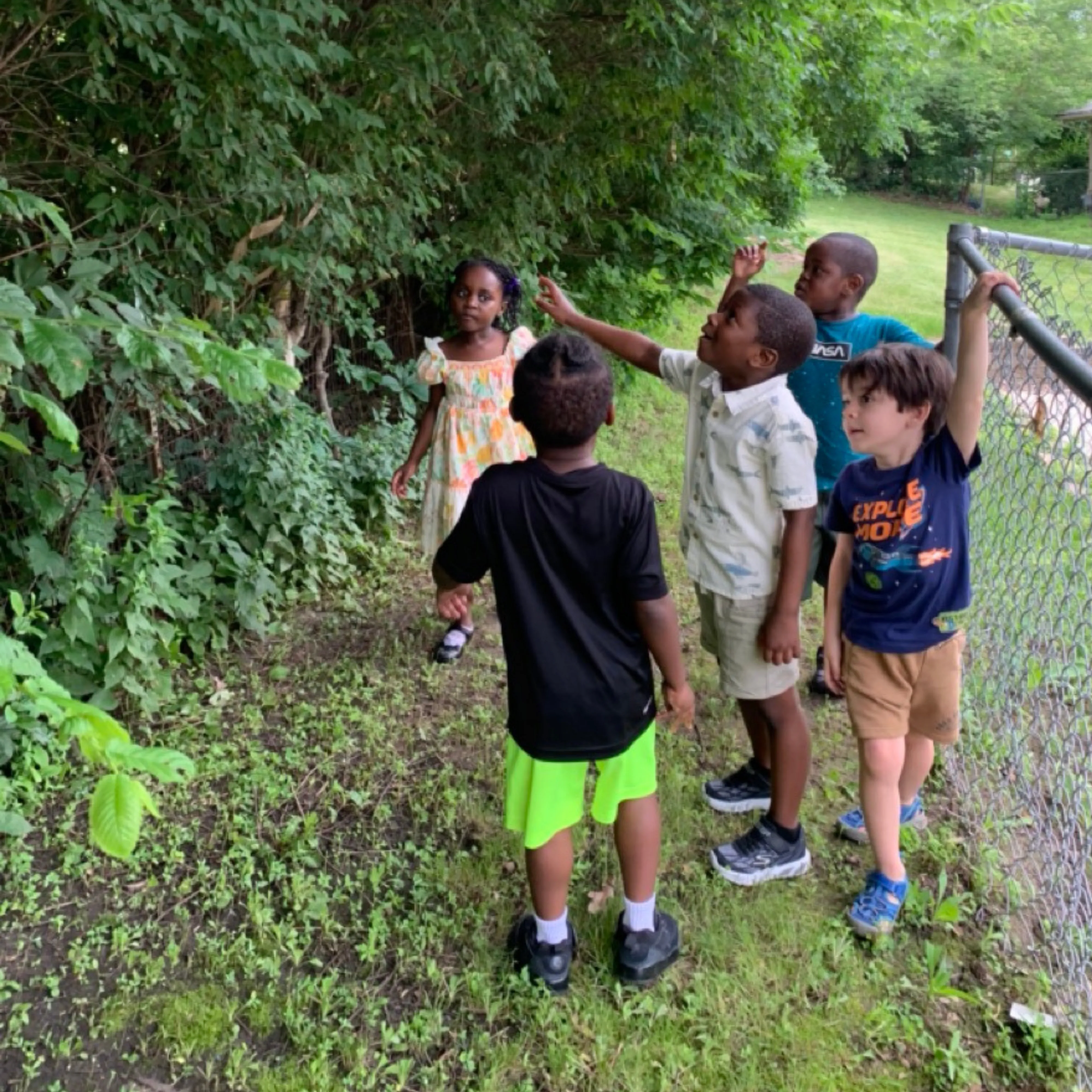 Campers exploring nature together